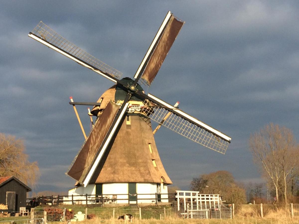 Casa vacanze Mondriaanmolen, A Real Windmill Close To Amsterdam